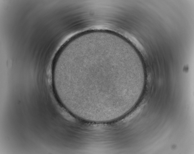 X0000103140934200809192002