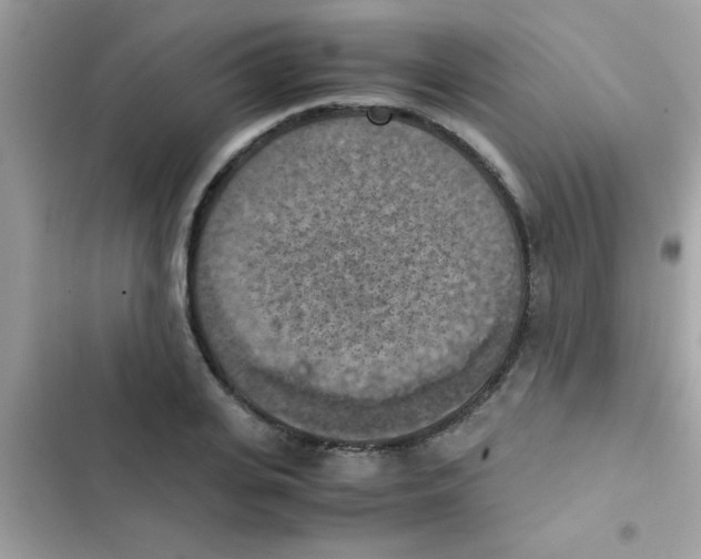 X0000103140935200809192002