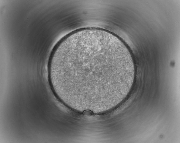 X0000103140936200809192002