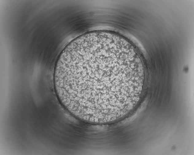 X0000103140937200809192002