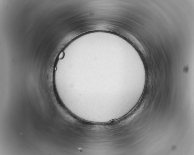 X0000103140938200809192002