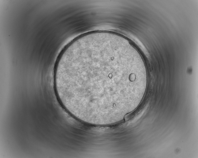 X0000103140939200809192002