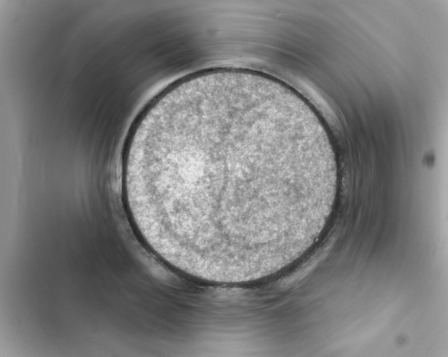 X0000103140940200809192002