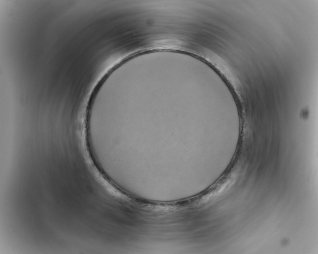 X0000103140941200809192002