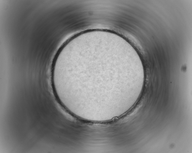 X0000103140942200809192002