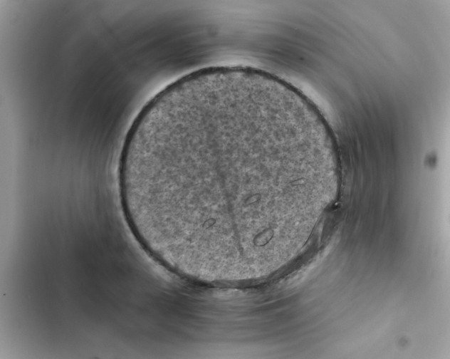 X0000103140943200809192002