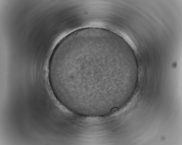 X0000103140944200809192002