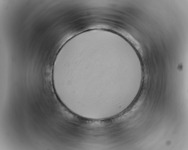 X0000103140945200809192002