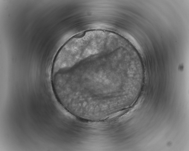 X0000103140946200809192002