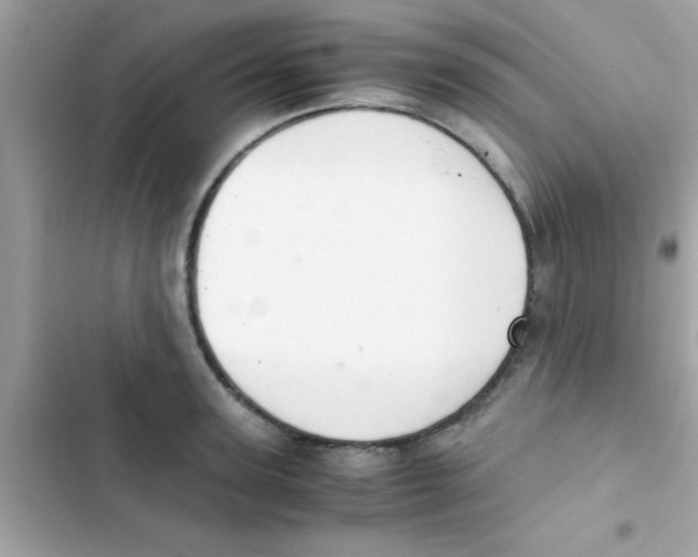 X0000103140947200809192002