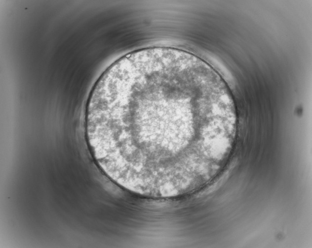 X0000103140948200809192002