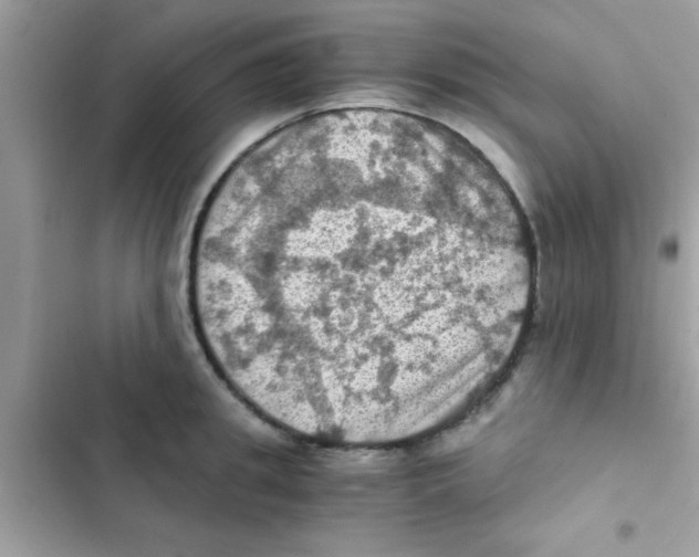 X0000103140949200809192002