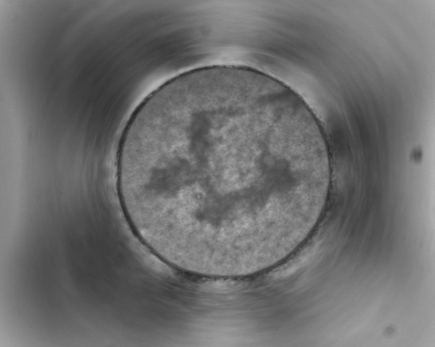 X0000103140950200809192002