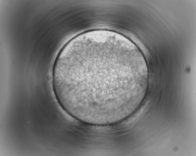 X0000103140951200809192002