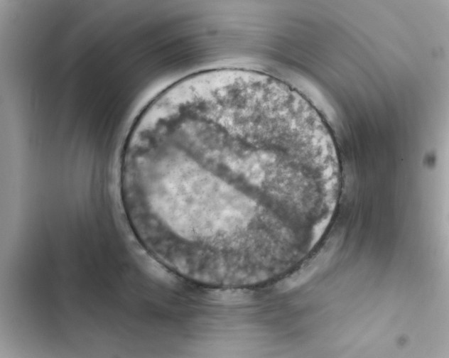 X0000103140952200809192002