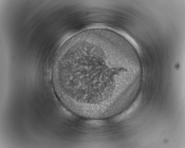 X0000103140953200809192002