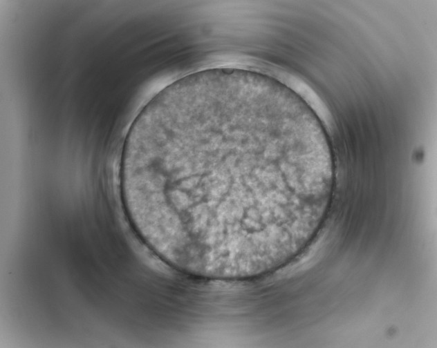 X0000103140954200809192002