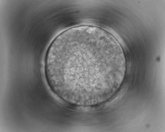 X0000103140955200809192002