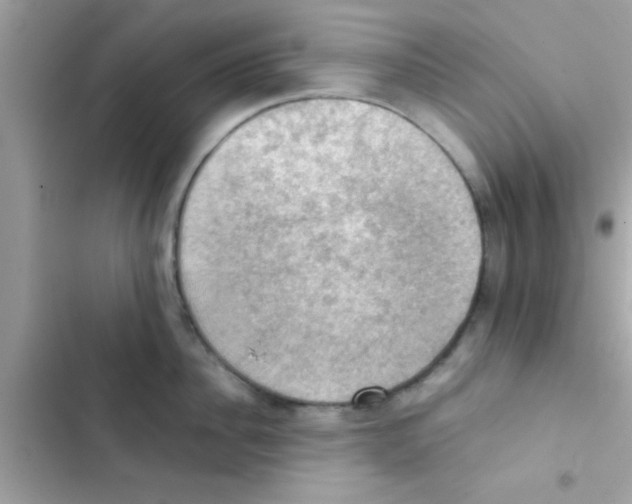 X0000103140956200809192002