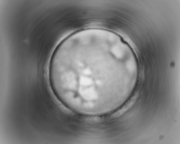 X0000103140957200809192002