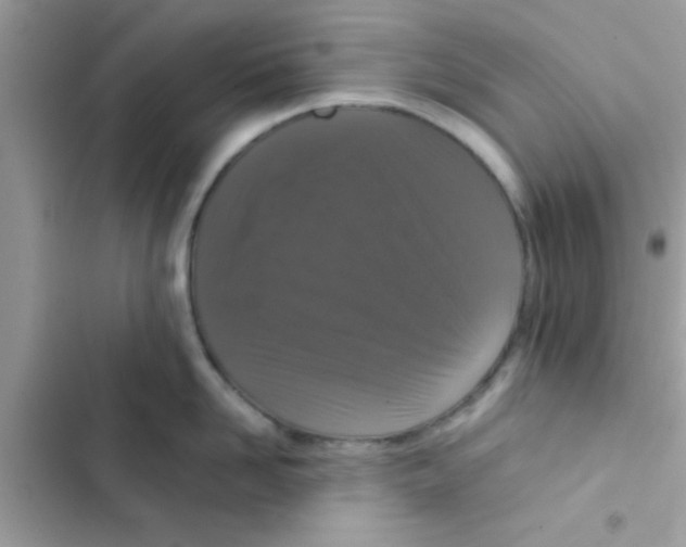 X0000103140958200809192002