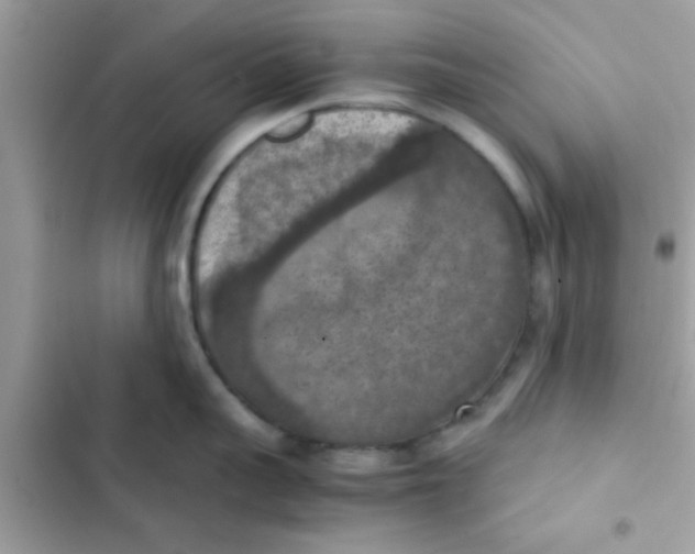 X0000103140959200809192002