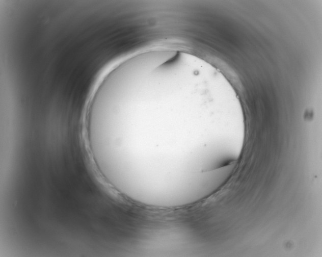 X0000103140960200809192002