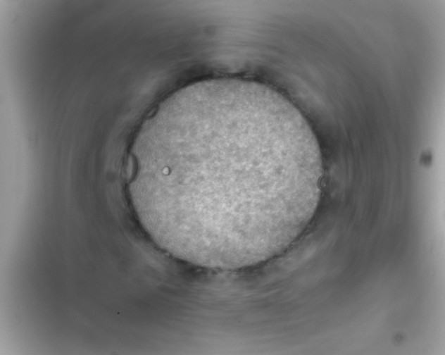 X0000103140961200809192001