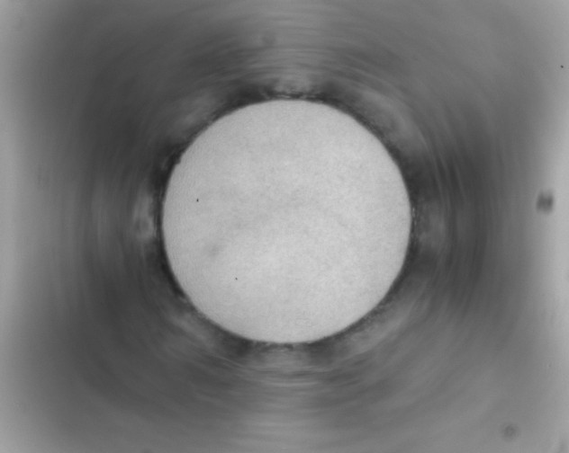 X0000103140962200809192001