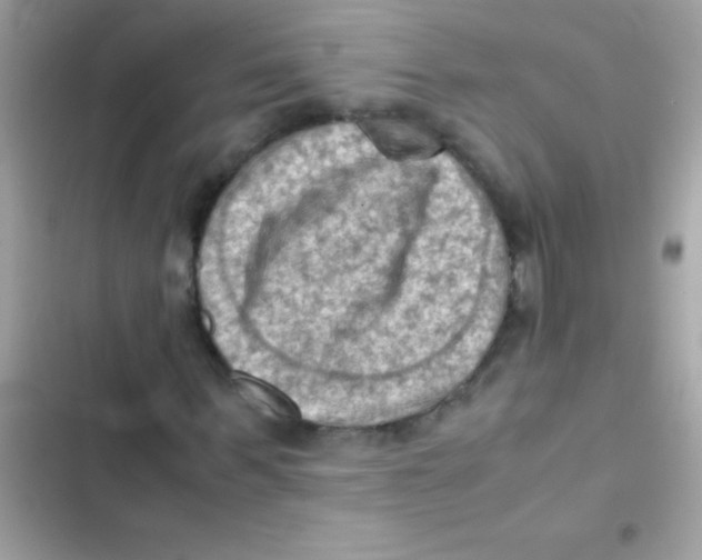 X0000103140963200809192001