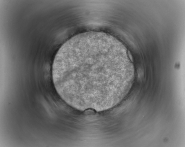 X0000103140964200809192001