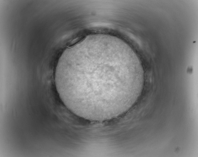 X0000103140965200809192001