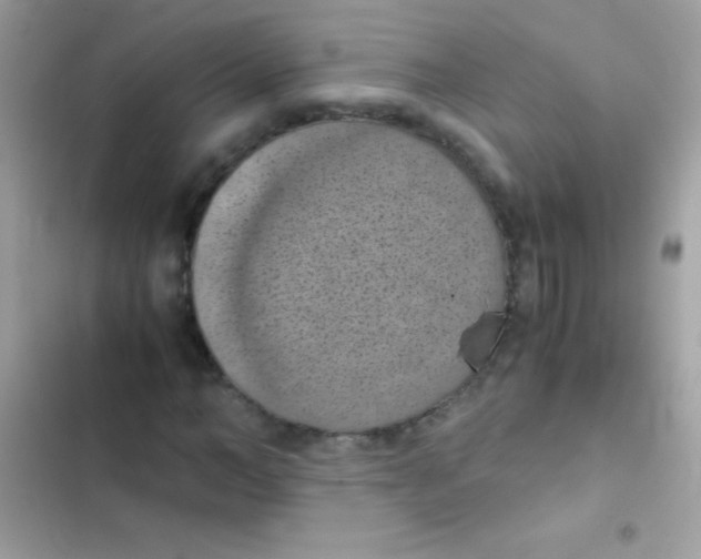 X0000103140966200809192001