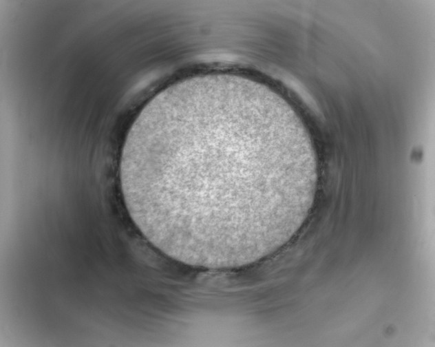 X0000103140967200809192001