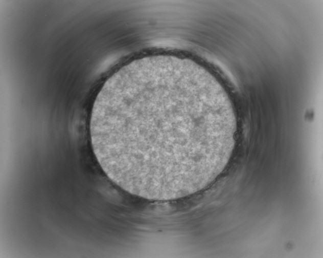 X0000103140968200809192001