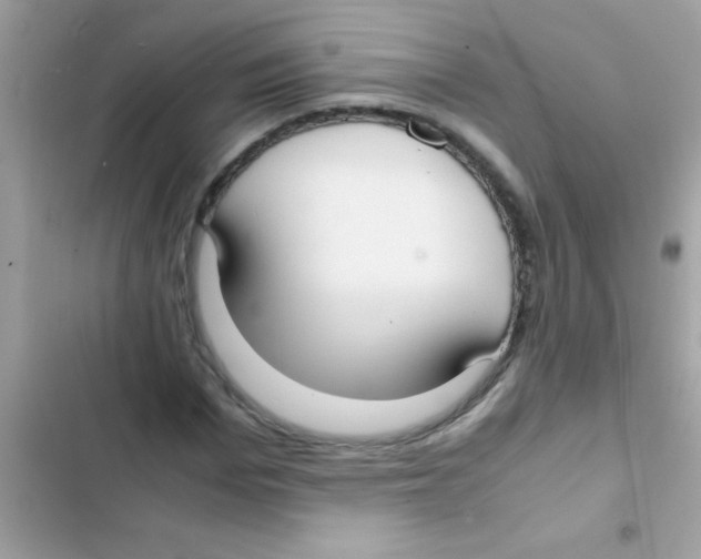 X0000103140969200809192001