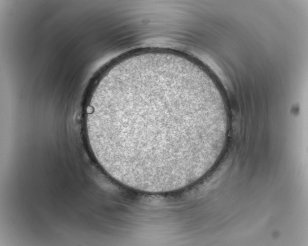 X0000103140971200809192001