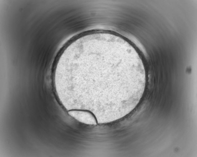 X0000103140972200809192001