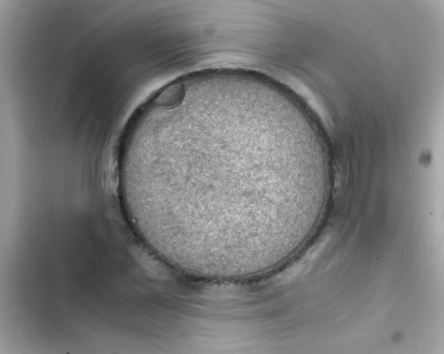 X0000103140973200809192001