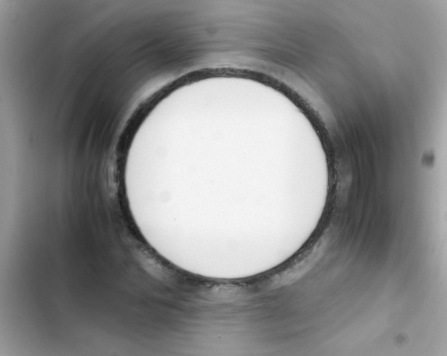 X0000103140974200809192001