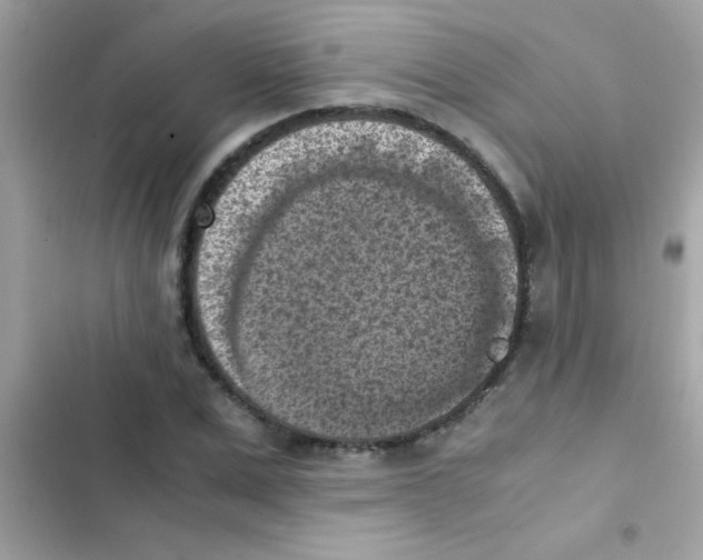 X0000103140975200809192001