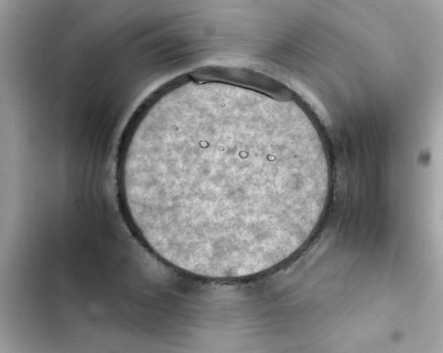 X0000103140976200809192001