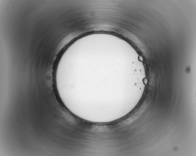 X0000103140978200809192001