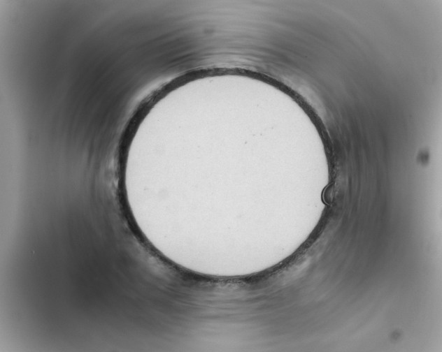 X0000103140979200809192001