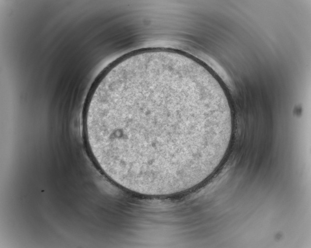 X0000103140980200809192001