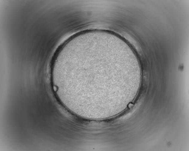 X0000103140981200809192001