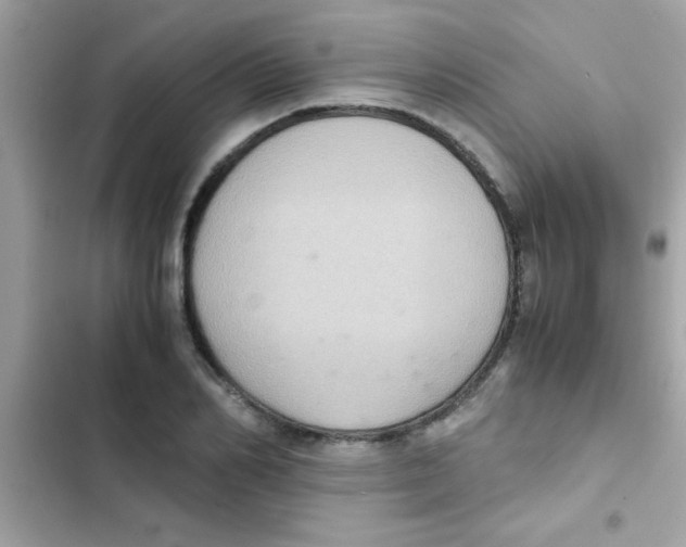 X0000103140982200809192001