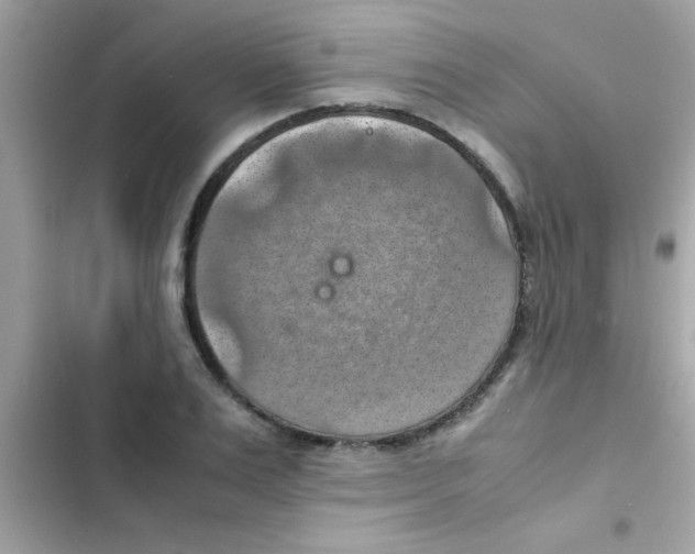 X0000103140983200809192001