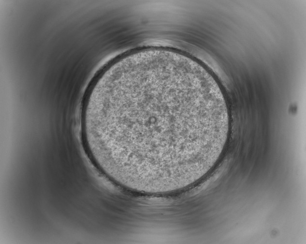 X0000103140984200809192001