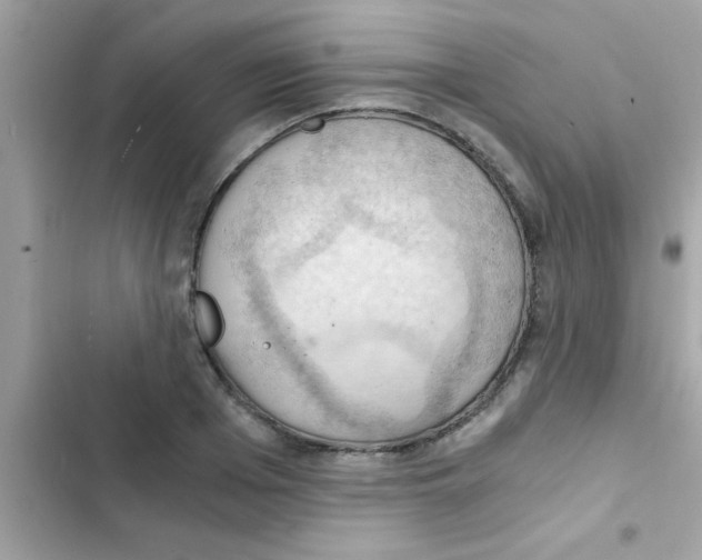 X0000103140985200809192001